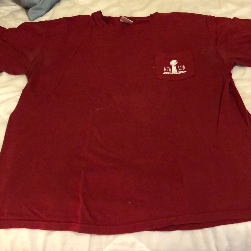 alpha gamma delta/ delta sigma theta t-shirt